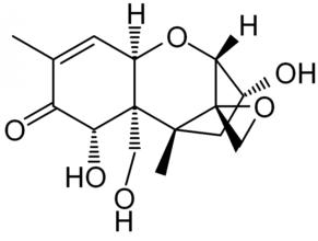 嘔吐毒素試紙條