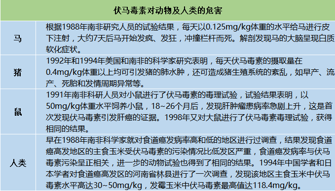 伏馬毒素檢測的必要性--上海飛測