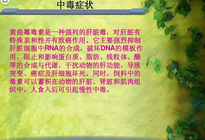 六、黃曲霉毒素對人和動(dòng)物有哪些危害？