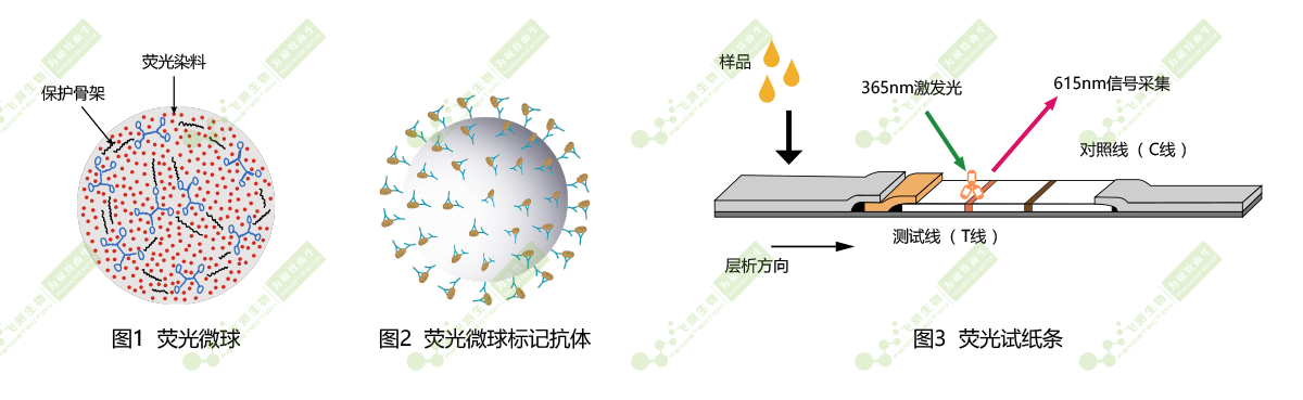 時間分辨熒光納米微球標(biāo)記技術(shù)