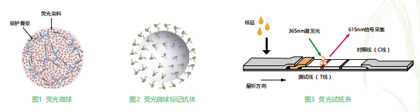 時間分辨熒光納米微球標(biāo)記技術(shù)