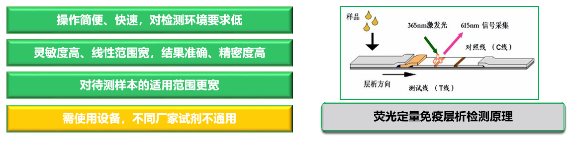 飼料赭曲霉毒素快速檢測卡