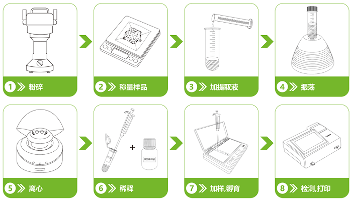 氟苯尼考熒光定量快速檢測卡檢測流程