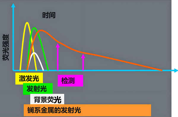 真菌毒素檢測(cè)